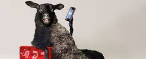 tele2, schaap, schapen, reclame voor, pratend schaap