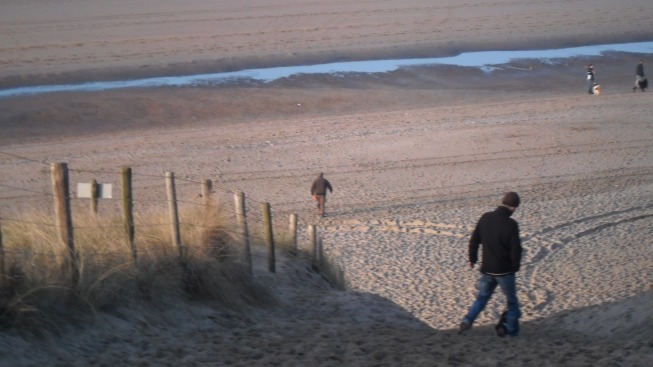 Strand, mooi weer, zon, hondje,, kruising engelse springer spaniel en epagneul breton, met man