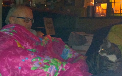 slapende man met roze deken, gebloemd, , kat, kat kijkt naar slapende man